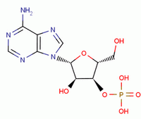 Adenosine 3-phosphateStructure,84-21-9Structure Adenosine 3-phosphate Structure,84-21-9Structure