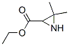 Ethyl3,3-dimethylaziridine-2-carboxylateStructure,84024-59-9Structure Ethyl3,3-dimethylaziridine-2-carboxylate Structure,84024-59-9Structure