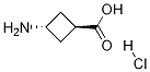 Trans-3-aminocyclobutanecarboxylicacidhydrochlorideStructure,84182-60-5Structure Trans-3-aminocyclobutanecarboxylicacidhydrochloride Structure,84182-60-5Structure