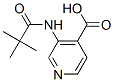 3-(2,2-Dimethyl-propionylamino)-isonicotinic acidStructure,86847-91-8Structure 3-(2,2-Dimethyl-propionylamino)-isonicotinic acid Structure,86847-91-8Structure
