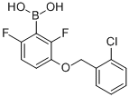 2,6-Difluoro-3-(2-chlorobenzyloxy)phenylboronic acidStructure,870778-99-7Structure 2,6-Difluoro-3-(2-chlorobenzyloxy)phenylboronic acid Structure,870778-99-7Structure