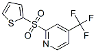 Pyridine,2-(2-thienylsulfonyl)-4-(trifluoromethyl)-Structure,882292-13-9Structure Pyridine,2-(2-thienylsulfonyl)-4-(trifluoromethyl)- Structure,882292-13-9Structure