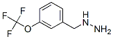 3-Trifluoromethoxy-benzyl-hydrazineStructure,887595-84-8Structure 3-Trifluoromethoxy-benzyl-hydrazine Structure,887595-84-8Structure