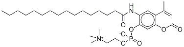 6-Hexadecanoylamino-4-methylumbelliferyl phosphorylcholineStructure,904315-61-3Structure 6-Hexadecanoylamino-4-methylumbelliferyl phosphorylcholine Structure,904315-61-3Structure