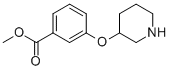 Methyl 3-(3-piperidinyloxy)benzoateStructure,946681-12-5Structure Methyl 3-(3-piperidinyloxy)benzoate Structure,946681-12-5Structure