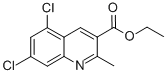 5,7-Dichloro-2-methylquinoline-3-carboxylic acid ethyl esterStructure,948293-72-9Structure 5,7-Dichloro-2-methylquinoline-3-carboxylic acid ethyl ester Structure,948293-72-9Structure