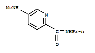 5-(甲基氨基)-n-丙基-2-吡啶羧酰胺結(jié)構(gòu)式_204973-08-0結(jié)構(gòu)式