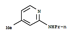 (9ci)-4-甲基-n-丙基-2-吡啶胺結(jié)構(gòu)式_219478-20-3結(jié)構(gòu)式