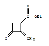 (9ci)-2-亞甲基-3-氧代-環(huán)丁烷羧酸乙酯結(jié)構(gòu)式_220301-46-2結(jié)構(gòu)式