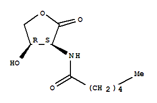 (9ci)-n-[(3s,4r)-四氫-4-羥基-2-氧代-3-呋喃]-己酰胺結(jié)構(gòu)式_428510-08-1結(jié)構(gòu)式