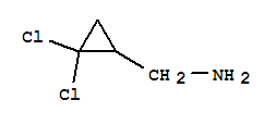 (2,2-Dichlorocyclopropyl)methylamineStructure,68618-71-3Structure (2,2-Dichlorocyclopropyl)methylamine Structure,68618-71-3Structure