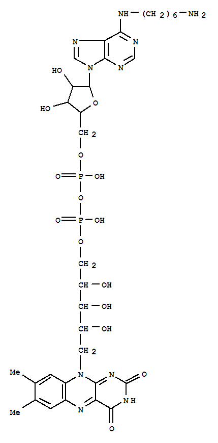 N6-(6-aminohexyl)-fadStructure,76748-73-7Structure N6-(6-aminohexyl)-fad Structure,76748-73-7Structure
