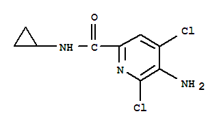 (9ci)-5-氨基-4,6-二氯-n-環(huán)丙基-2-吡啶羧酰胺結(jié)構(gòu)式_784143-94-8結(jié)構(gòu)式