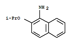 1-Naphthylamine,2-isopropoxy-Structure,861352-57-0Structure 1-Naphthylamine,2-isopropoxy- Structure,861352-57-0Structure