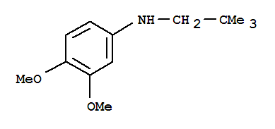 (2,2-Dimethylpropyl)-(3,4-dimethoxy-phenyl)-amineStructure,887588-12-7Structure (2,2-Dimethylpropyl)-(3,4-dimethoxy-phenyl)-amine Structure,887588-12-7Structure