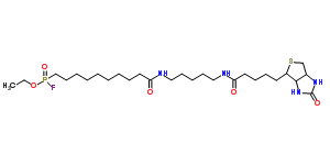 FP-生物素結(jié)構(gòu)式_259270-28-5結(jié)構(gòu)式