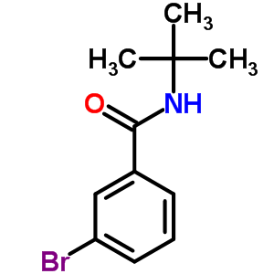 3-Bromo-n-(tert-butyl)benzamideStructure,42498-39-5Structure 3-Bromo-n-(tert-butyl)benzamide Structure,42498-39-5Structure