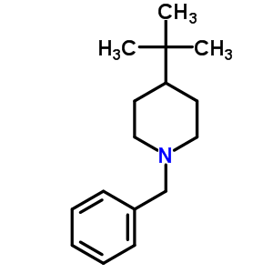 Piperidine,4-(1,1-dimethylethyl)-1-(phenylmethyl)-Structure,7576-09-2Structure Piperidine,4-(1,1-dimethylethyl)-1-(phenylmethyl)- Structure,7576-09-2Structure