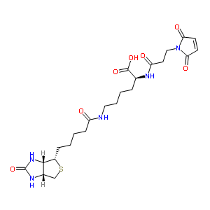 3-(N-maleimidopropionyl)biocytinStructure,98930-71-3Structure 3-(N-maleimidopropionyl)biocytin Structure,98930-71-3Structure